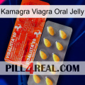 Kamagra Viagra Oral Jelly new01